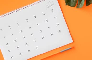 Calendario de la Anses: todas las prestaciones que se pagan este viernes 19 de julio
