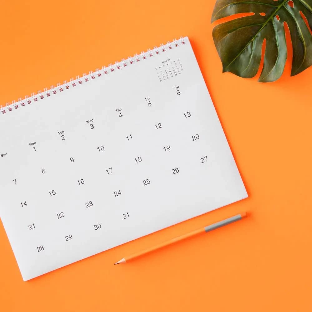 Calendario de la Anses: todas las prestaciones que se pagan este viernes 19 de julio
