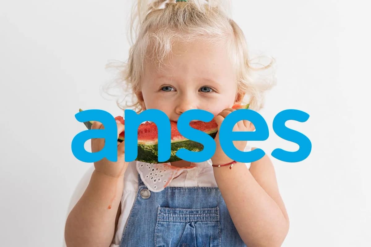 Programa Alimentar: Apoyo Nutricional para Familias Argentinas